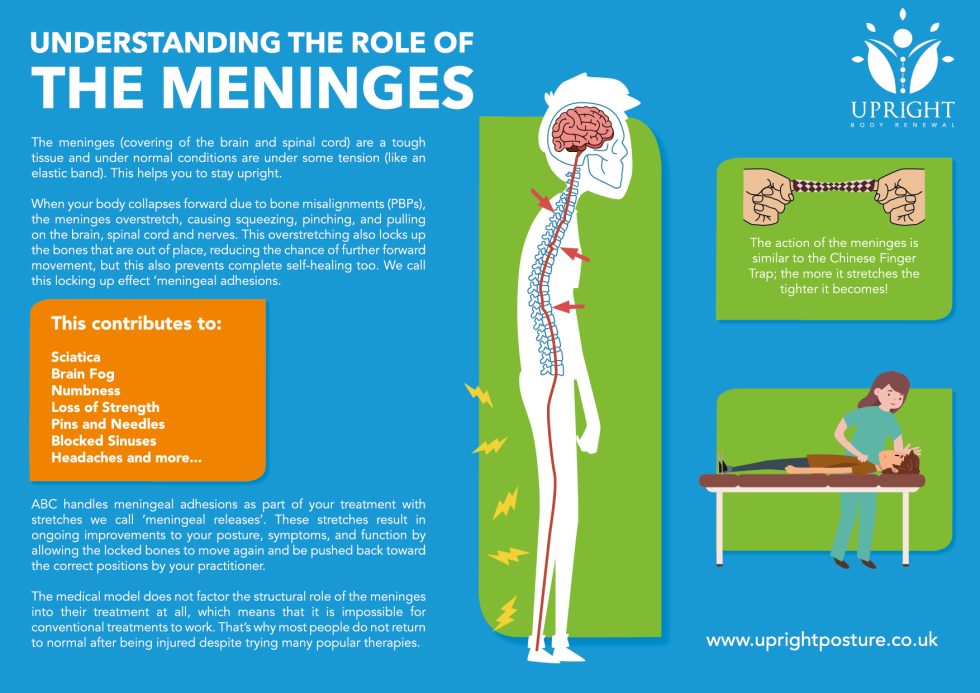 An educational infographic explaining how chiropractic care in Birmingham helps improve posture and relieve pain.